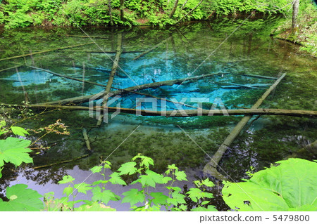 God's Pond God's Pond 5479800