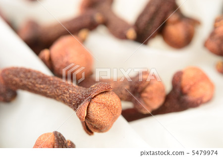 Clove Clove 5479974