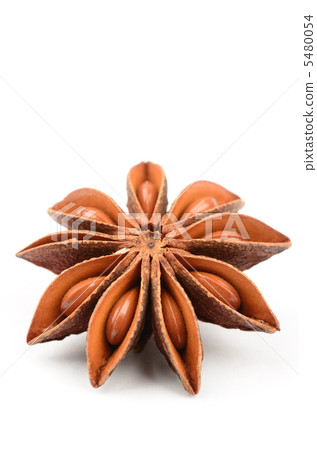 Star anise 5480054