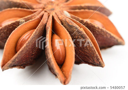 八角茴香 八角茴香 5480057