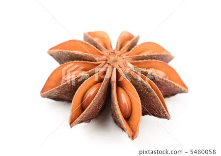 八角茴香 八角茴香 5480058