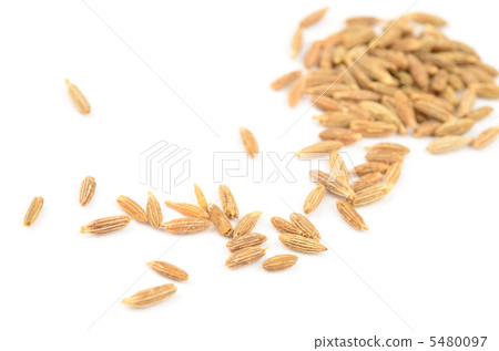 cumin 5480097