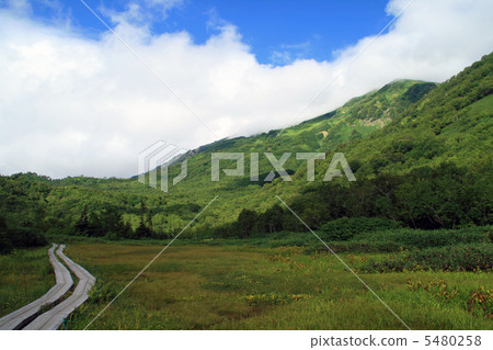 Tsugaike高原 5480258