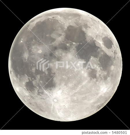 滿月（黑背） 5480501