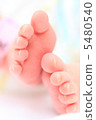 Small legs 5480540