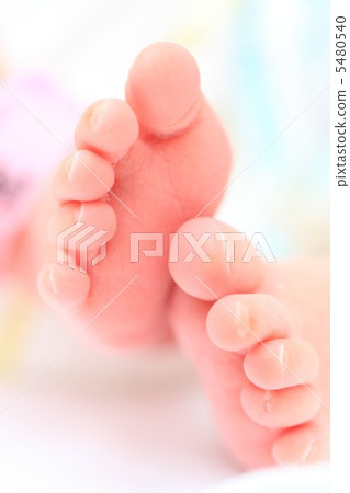 Small legs Small legs 5480540