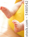 Legs 5480542