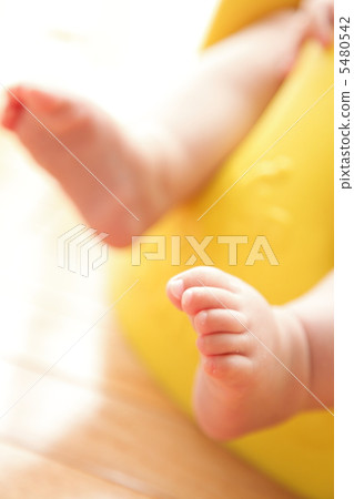Legs Legs 5480542