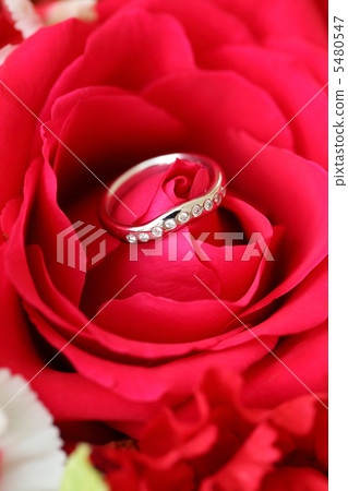 A ring A ring 5480547
