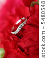 A ring 5480548