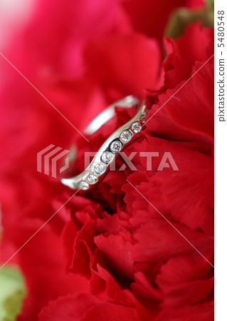 A ring A ring 5480548