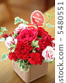 Flowers 5480551