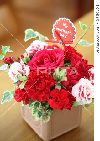 Flowers Flowers 5480551