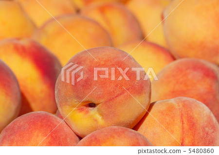 黃桃 黃桃 5480860