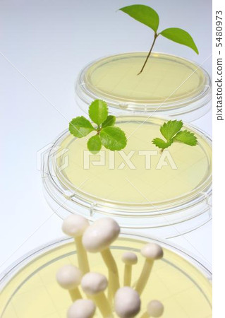 Bio image Bio image 5480973