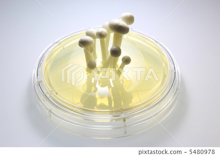 生物形象 5480978