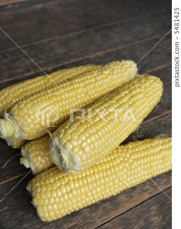 玉米 5481425