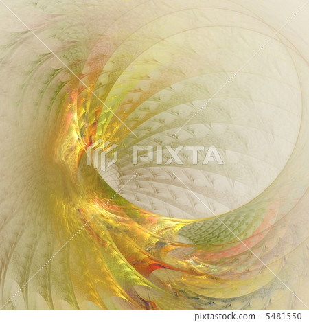 殼 - 貝類 -  5481550