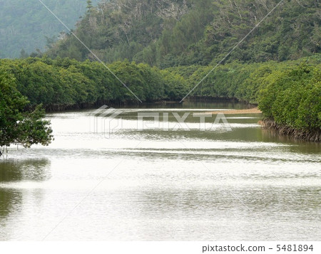 Keisatsu灣的Hirugi森林 5481894