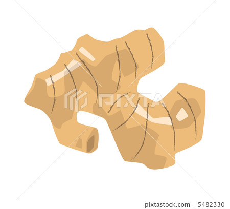 Ginger (ginger) (Shogun) 5482330