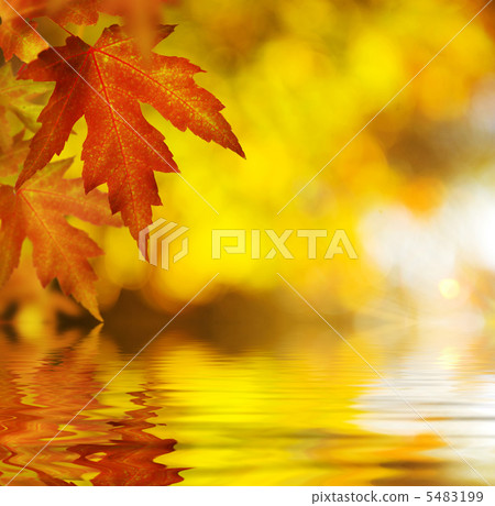 Fall.Autumn Background Fall.Autumn Background 5483199