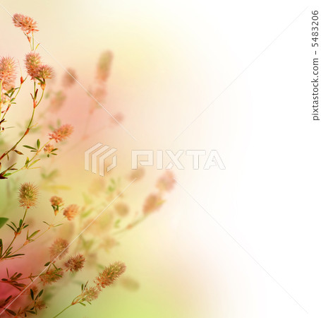 Beautiful Pastel Floral Border Beautiful Pastel Floral Border 5483206