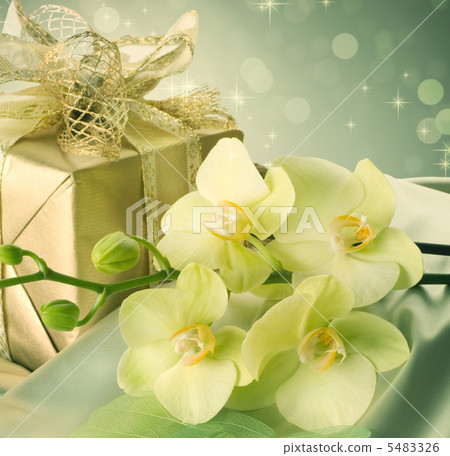 Gift 5483326