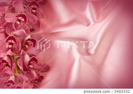 Orchid And Silk 5483332