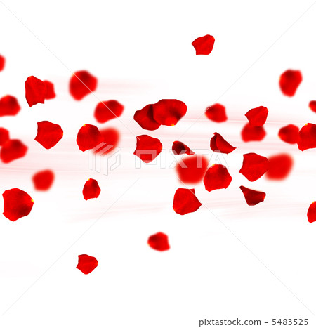 Roses Petals In Motion 5483525