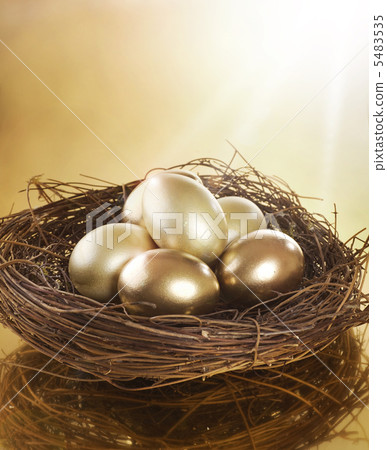 Golden Nest Eggs Golden Nest Eggs 5483535