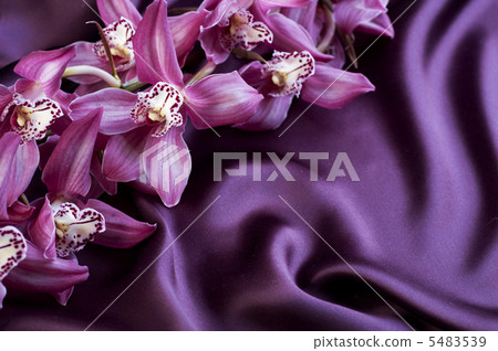Silk and Orchid. With copyspace 5483539