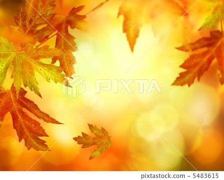 Autumn Abstract Background Autumn Abstract Background 5483615