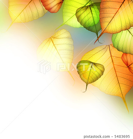 Autumn Leaves. Beautiful Abstract Fall Border Autumn Leaves. Beautiful Abstract Fall Border 5483695