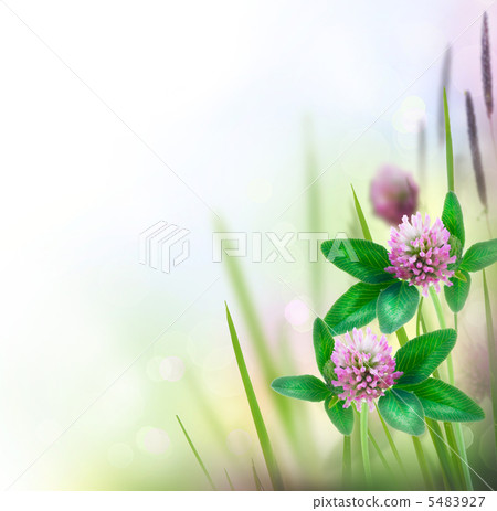 Herbal Border isolated on white 5483927