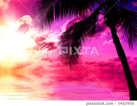 Sunset Beach 5483950