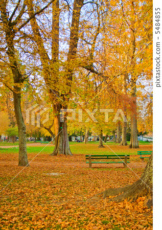 Autumn in the city park Autumn in the city park 5484855