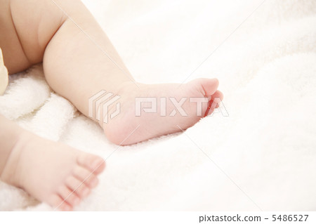 Baby's foot 5486527