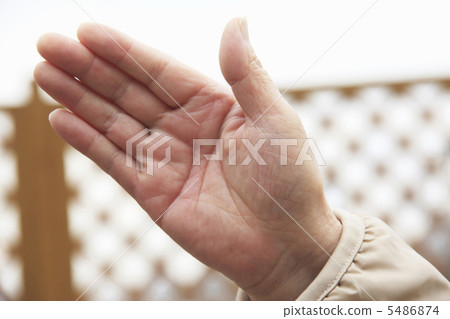 老人的手 5486874