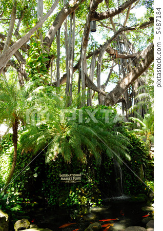 Hawaii International Marketplace 5487184