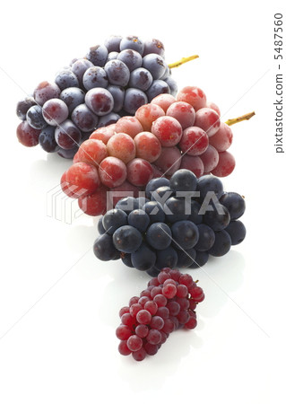Grape collection Grape collection 5487560