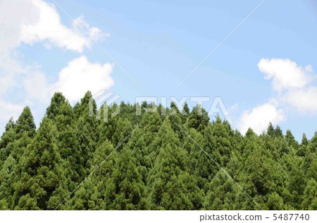 Mountain of cedars 5487740