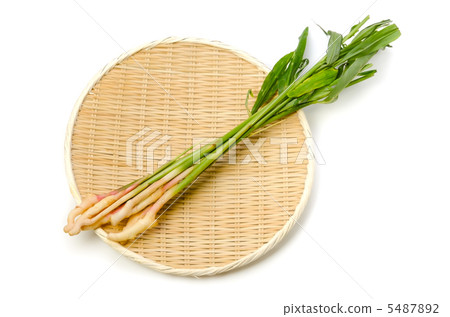 Leaf ginger Leaf ginger 5487892