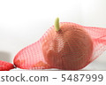 Onion Onion 5487999