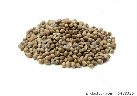 Hemp fruit Hemp fruit 5488326