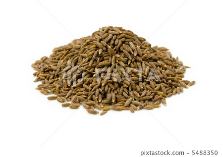 Cumin seed 5488350