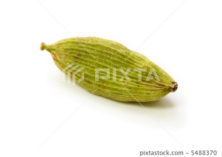 荳蔻果實 荳蔻果實 5488370