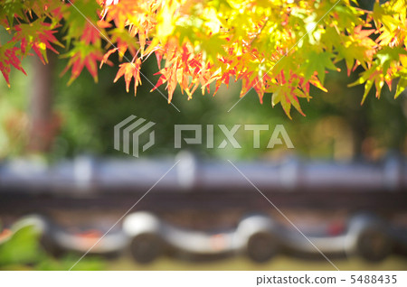 Fall of ancient capital Fall of ancient capital 5488435