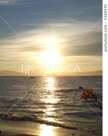 夕陽 夕陽 5488440