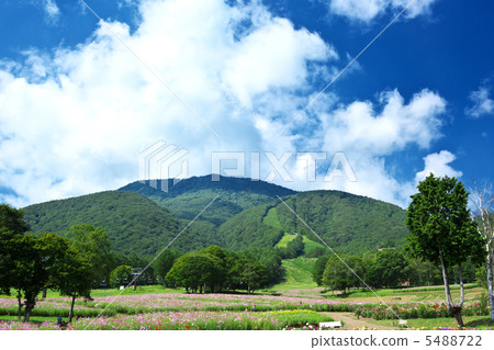 長野信濃町黑曜石高原 5488722
