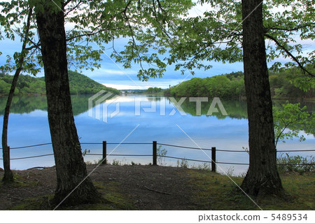 Scenery seen from between trees 5489534